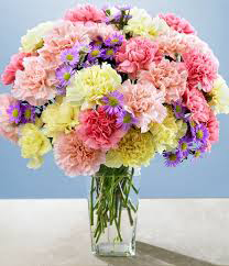 Hoa cẩm chướng điện hoa
