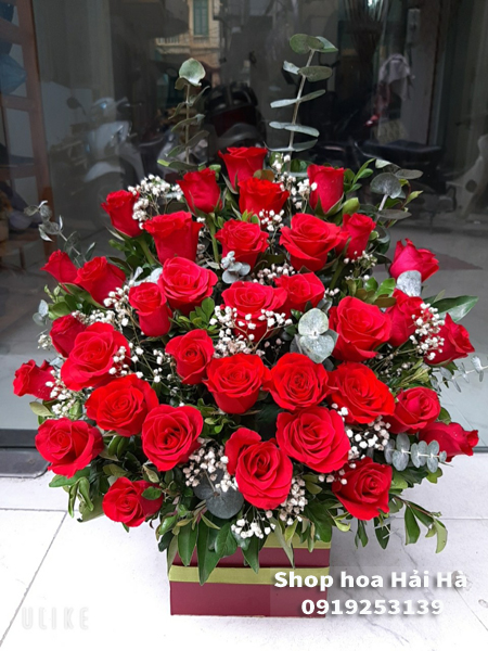 Giỏ hoa tặng ngày 20/11 sẽ khiến một người phụ nữ vô cùng hạnh phúc và cảm động. Sự đa dạng về loại hoa và màu sắc sẽ tạo ra một bức tranh độc đáo và tươi vui. Hãy xem bức ảnh này và tìm cho mình một món quà tuyệt vời để tặng đến một người bạn yêu thương.