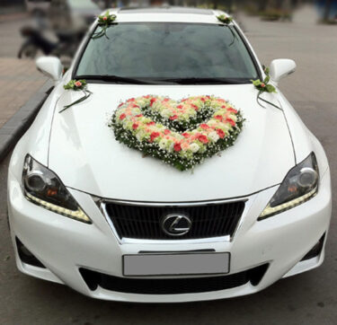 Trang trí xe hoa cưới đẹp hình trái tim bằng hoa cẩm chướng