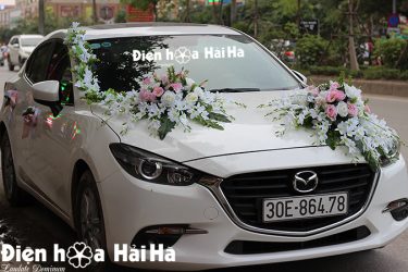 Hình góc nghiêng bộ hoa cũng đẹp lung linh