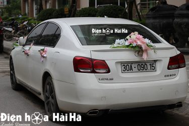 Có đầy đủ hoa cabo trước, sau, hoa nóc và hoa cửa