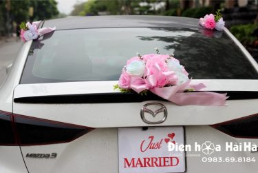 hình csbo sau bộ hoa