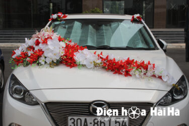 Bán hoa giả trang trí xe cưới hồ điệp trắng và lan đỏ