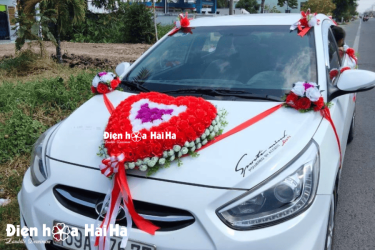 Góc nghiêng bộ hoa cũng đẹp lung linh