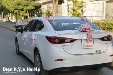Phía duôi xe của bộ hoa lụa hồng phấn hiện đại mã XHG-138