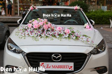 Hình chính diện bộ hoa
