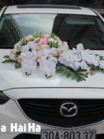 Bộ hoa xe cưới bằng lụa mẫu đơn hồ điệp trắng