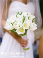 Bó hoa cưới Tulip trắng - Thiên Thần