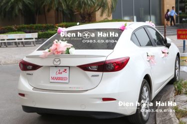 Hình phía sau bộ hoa