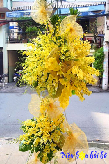 Lẵng hoa chúc mừng bằng hoa lan vàng sang trọng