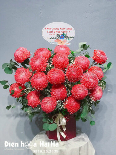 Hoa tặng ngày phụ nữ cúc Mẫu đơn đỏ - Hạnh Phúc