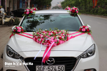 Bộ hoa vải trang trí xe cưới hồng sen phấn Tây Tây