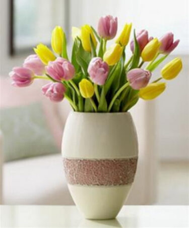 Bình hoa tulip các mầu