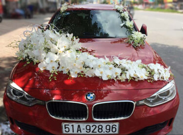 Mẫu xe hoa cô dâu đẹp hồ điệp trắng