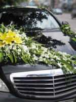 Mẫu xe hoa cô dâu lan trắng ly vàng