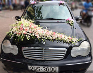 Mẫu xe hoa cô dâu lan trắng hồng