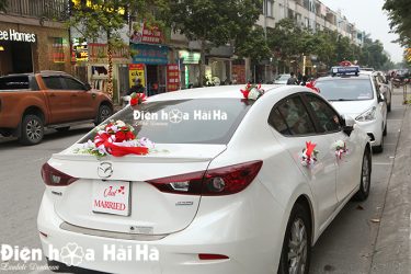 Cụm hoa cabo sau to đẹp chắc chắn