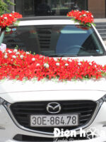 Mua hoa lụa trang trí xe ô tô hoa lan đỏ