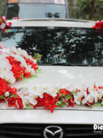 Mua hoa vải trang trí xe ô tô hồ điệp trắng lan đỏ