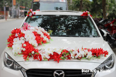 Mua hoa vải trang trí xe ô tô hồ điệp trắng lan đỏ