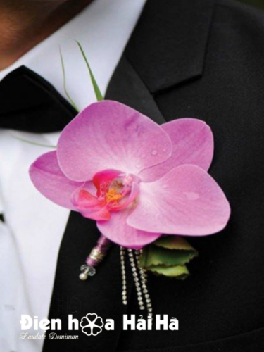 Hoa cài áo chú rể - SET 7 Xe hoa cưới hồ điệp tím - Vương giả