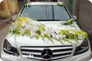Hoa trên xe SET 8 - Hoa trang trí xe cưới hồ điệp trắng - Thịnh Vượng