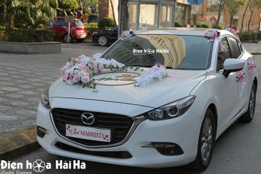 Hình ảnh góc nghiêng của mẫu trang trí xe cô dâu lan hồ điệp