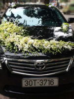 Trang trí xe hoa ngày cưới hoa lan trắng xanh