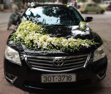 Trang trí xe hoa ngày cưới hoa lan trắng xanh