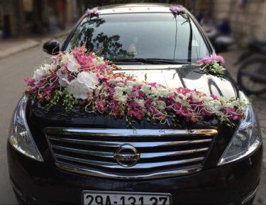 Xe hoa ngày cưới hoa lan trắng hồng