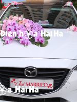 Mẫu hoa giả trang trí xe cưới hồng Kiêu Sa