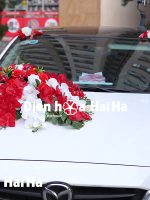 Mẫu hoa giả trang trí xe cưới lan Hồ Điệp đỏ