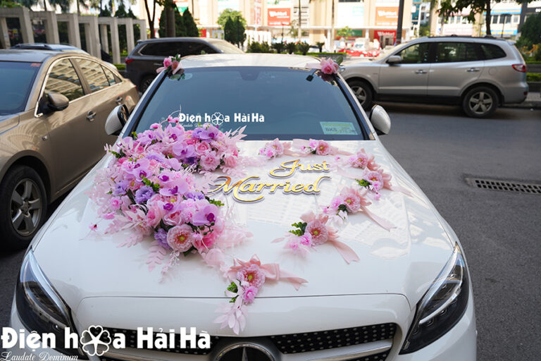 Bộ hoa lụa xe cưới Hồ Điệp hồng Vĩnh Kết Đồng Tâm
