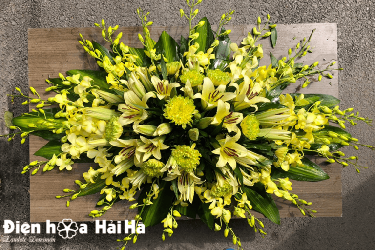 Hoa nắp quan tài mã HQT-003