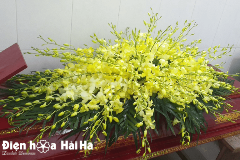 Hoa nắp quan tài mã HQT-007