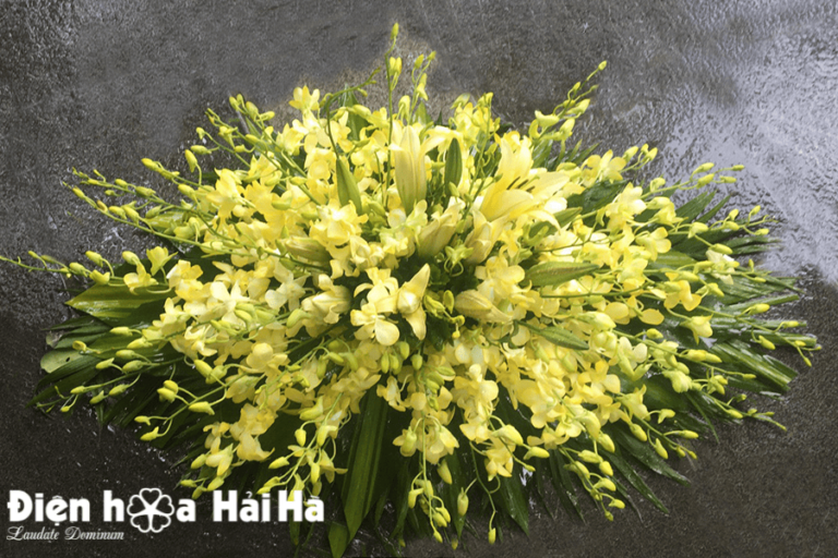 Hoa nắp quan tài mã HQT-001