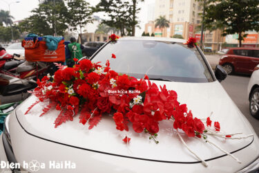 Mẫu hoa giả trang trí xe cưới hoa lan đỏ giá rẻ hot nhất năm