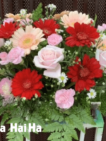 Bát hoa để bàn – Sự Tương Tác
