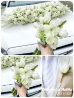SET17 Xe hoa cưới mầu trắng - Bên Nhau