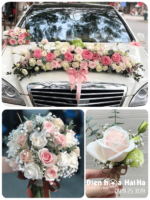 (SET26) Xe hoa cưới mầu hồng nhạt - Hòa Hợp