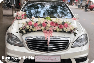 (SET26) Xe hoa cưới mầu hồng nhạt - Hòa Hợp