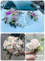 (SET35) Xe hoa cưới mầu hồng nhạt - Giản Đơn