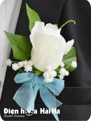 (SET36) Hoa trang trí xe cưới mầu trắng xanh - Chân Tình