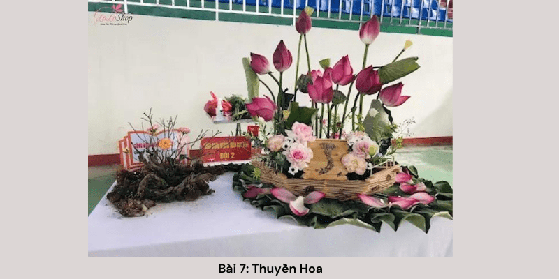 Bài 7: Bài thuyết trình Thuyền Hoa