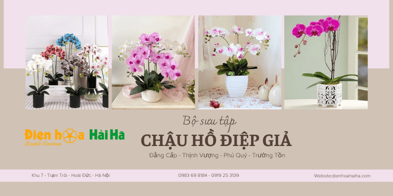 Chậu hoa lan hồ điệp giả