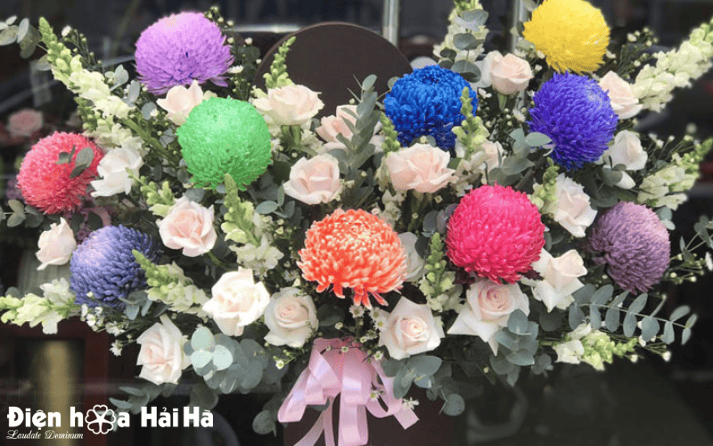 Hoa cúc mẫu đơn có thể kết hợp với nhiều loài hoa khác nhau