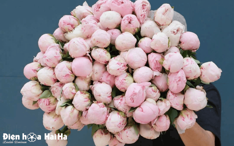 Bó hoa peony và câu chuyện bên lề