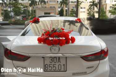 Hình ảnh hoa cabo phía sau xe
