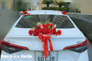 Hình ảnh hoa cabo sau