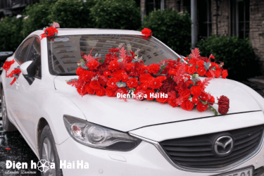 Tổng thể góc nghiêng bộ hoa